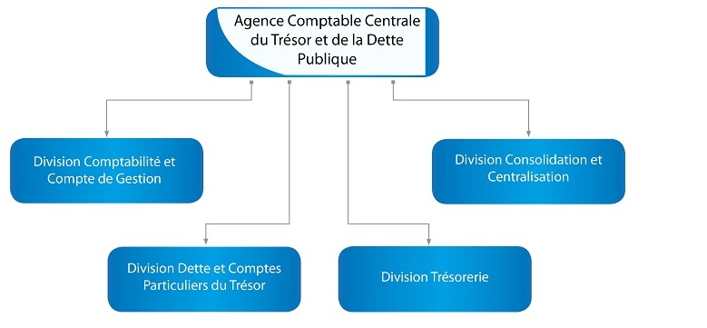 Organigramme ACCTDP