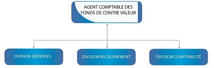 Organigramme ACFCV Organigramme ACFCV