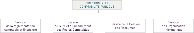 Organigramme Organigramme