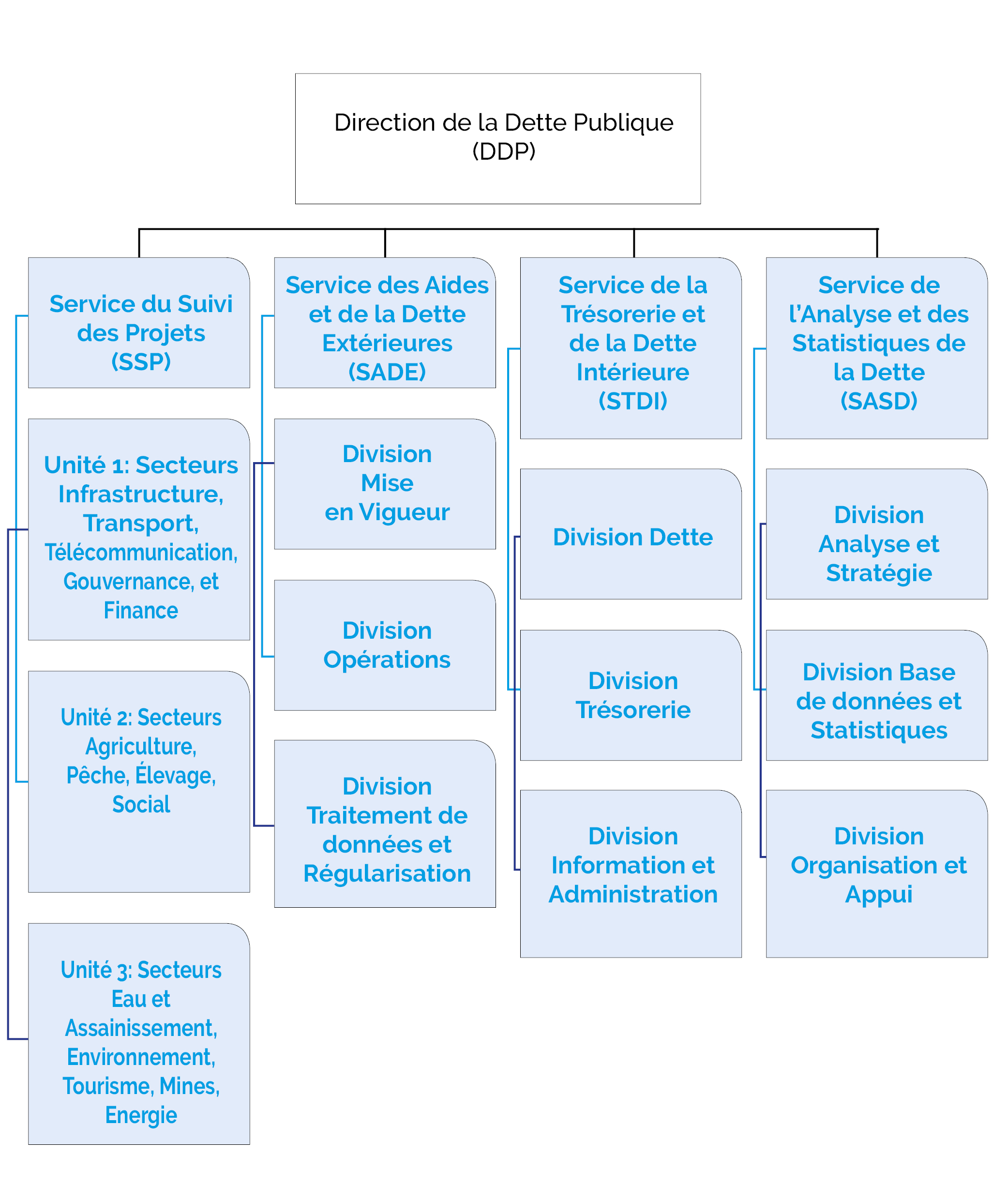 Organigramme DDP