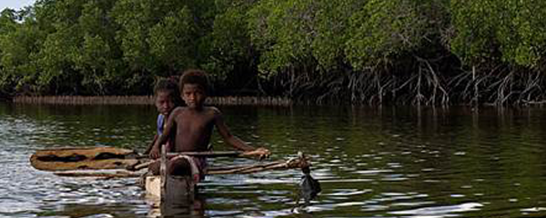 Mangrove de Madagascar : Situation inquiétante