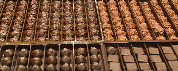 Le chocolat risque de se faire rare d’ici 2050