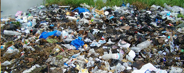 Elimination des déchets en plastique: La biodégradation comme alternative
