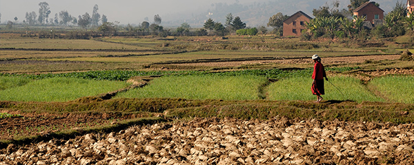 Terres arables : Récupérer 100 millions Ha en 15 ans