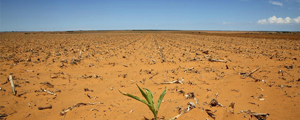 Résilience face aux catastrophes: La FAO s’y met