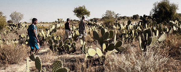 Effets d’El Nino: 4 milliards USD nécessaire