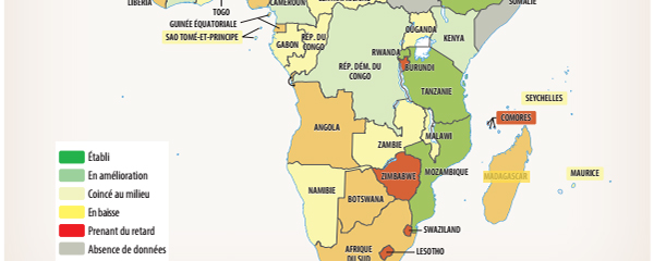 Africa Pulse : Madagascar parmi les pays en recul