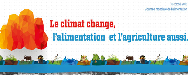 Journée mondiale de l’alimentation:S’adapter au changement climatique