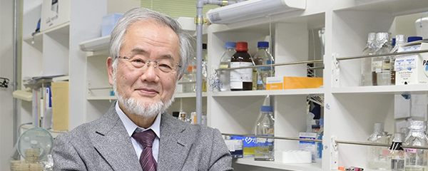 Prix Nobel de Médecine 2016 : Yoshinori Ohsumi récompensé