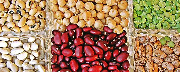 Légumineuses : Stimulation de l’agriculture durable
