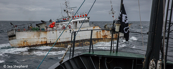 Une trentaine de bateaux suspects enquêtés