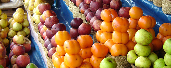 Le premier marché écologique d’Analamanga à Ambohitrabiby