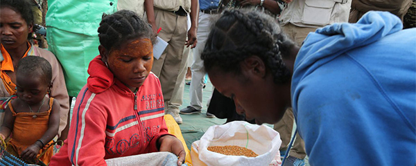 Insécurité alimentaire dans le Sud : Une légère amélioration