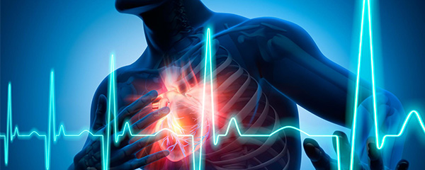 Crise cardiaque : L’épinard peut sauver des vies