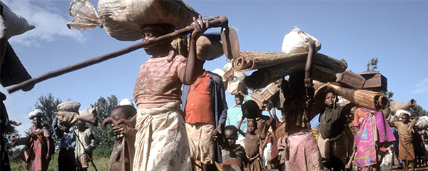 Migrants internationaux: 244 millions de personnes en 2015