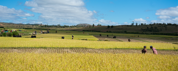 La faim dans le monde progresse de nouveau