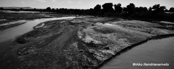 Environnement :15 364 scientifiques tirent la sonnette d’alarme