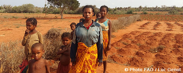 Un programme pour booster l’agriculture dans le Sud