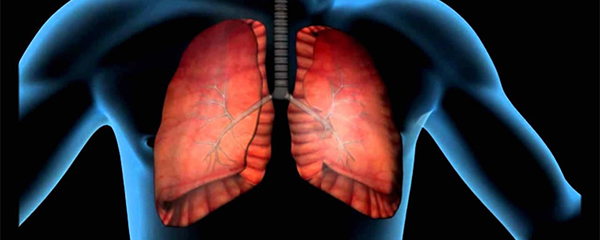 Tuberculose résistante : Diagnostic correct obligatoire