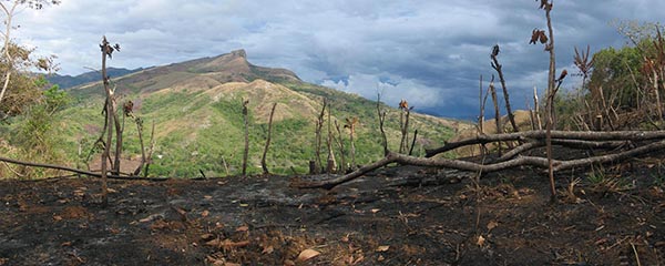 Dégradation de l’environnement : Perte du 4,2 % du PIB en 2050